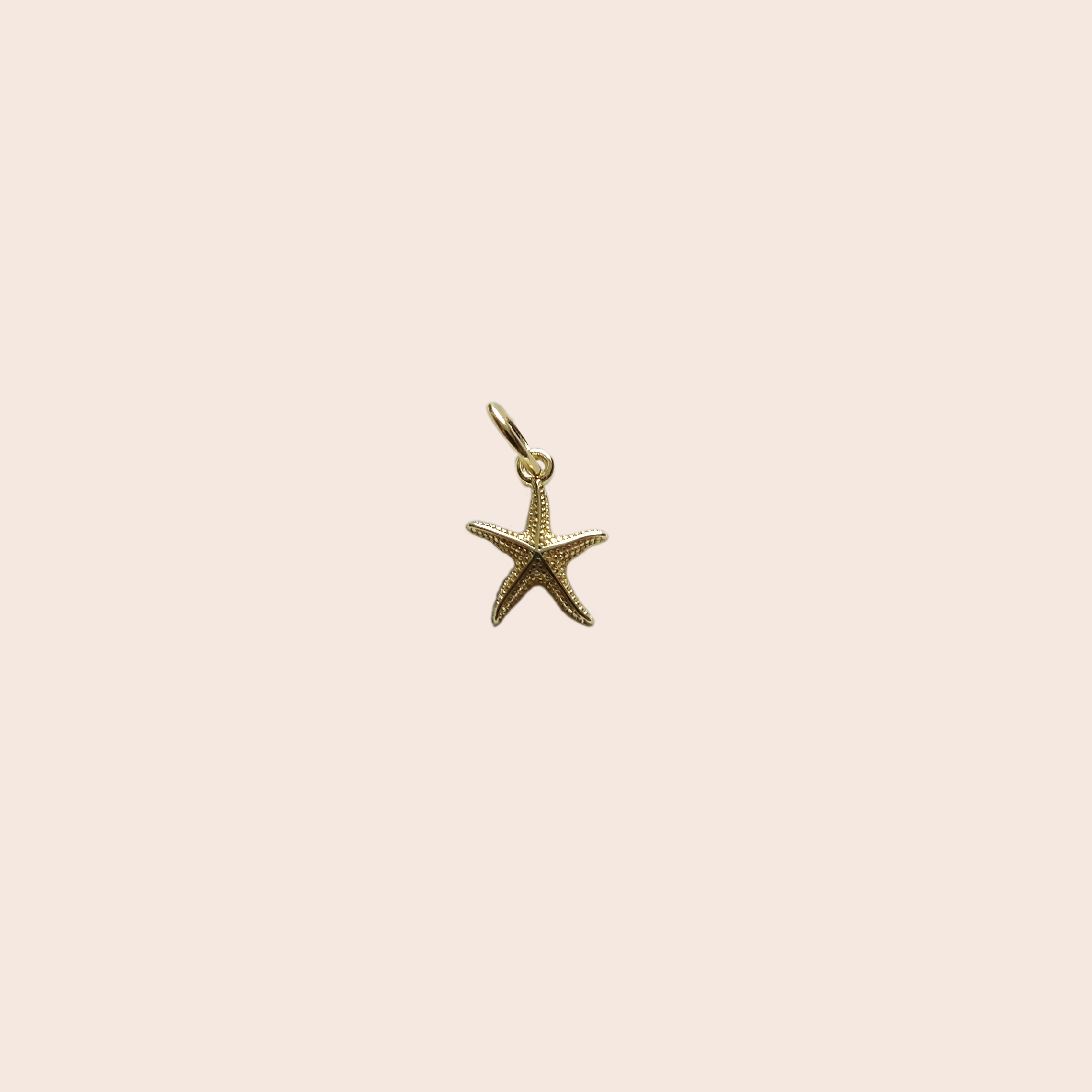 Mini Starfish Charm